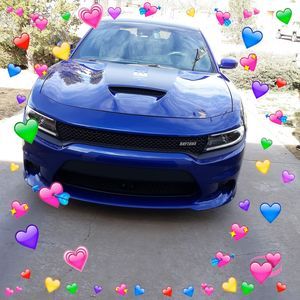 Meet your Posher, Henrietta